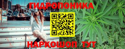 гидра Ливны