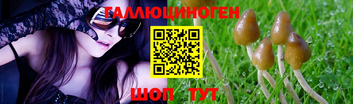 Галлюциногенные грибы Psilocybe  Вход с VPN  Старая Купавна 